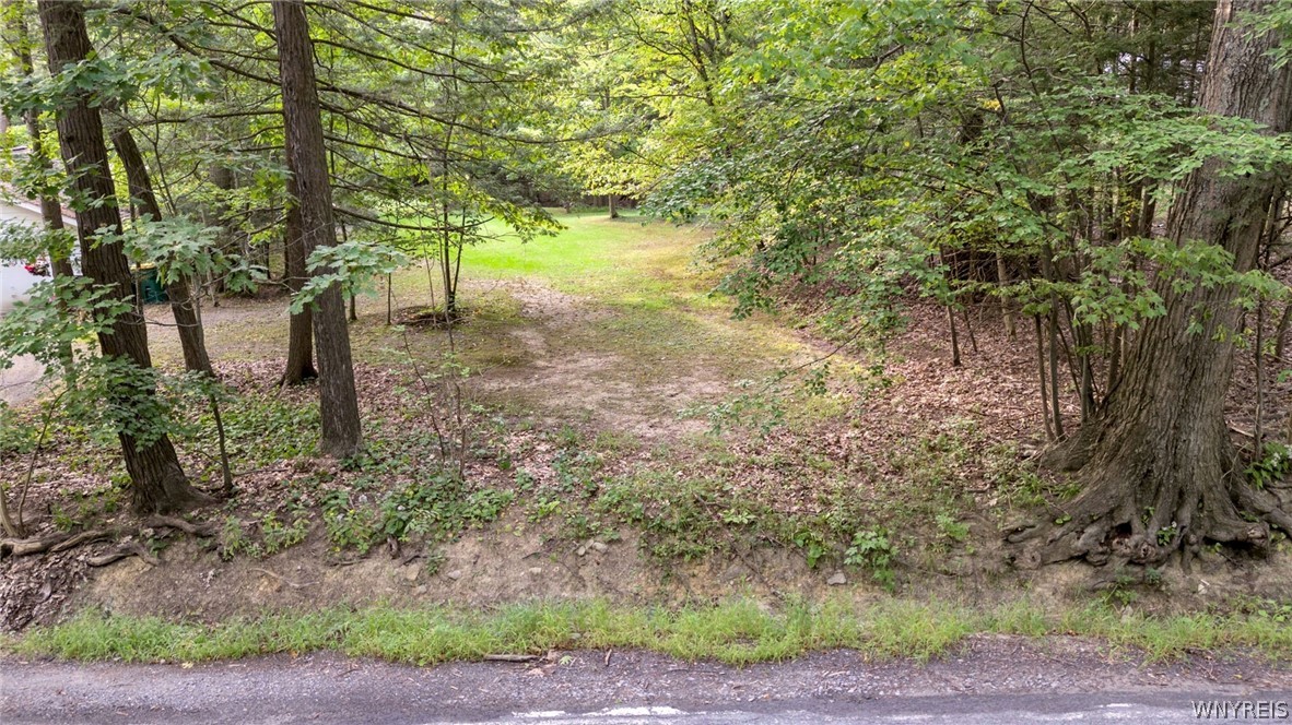 Vl Chestnut Ridge Road Orchard Park, NY 14127 - Photo 3 of 8 Gallery Image 3