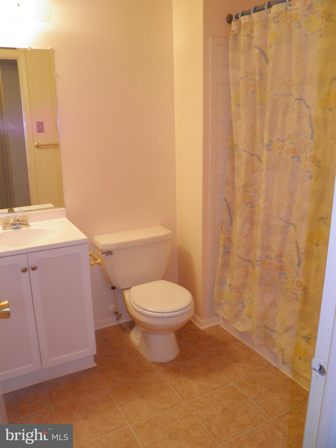 123 North Cottage Road Sterling, VA 20164 - Photo 12 of 27 Hallway Bathroom
