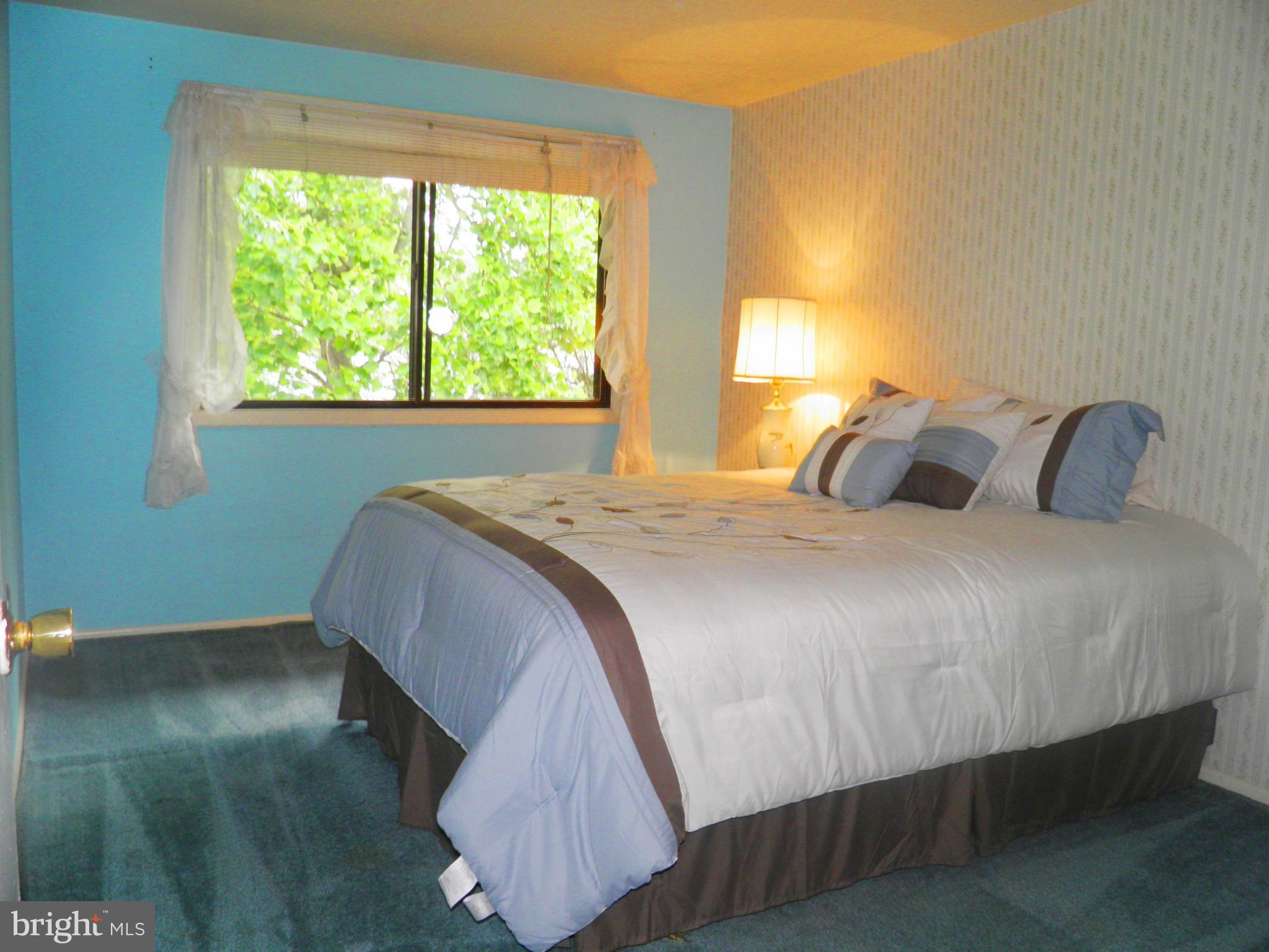 123 North Cottage Road Sterling, VA 20164 - Photo 18 of 27 Bedroom 2