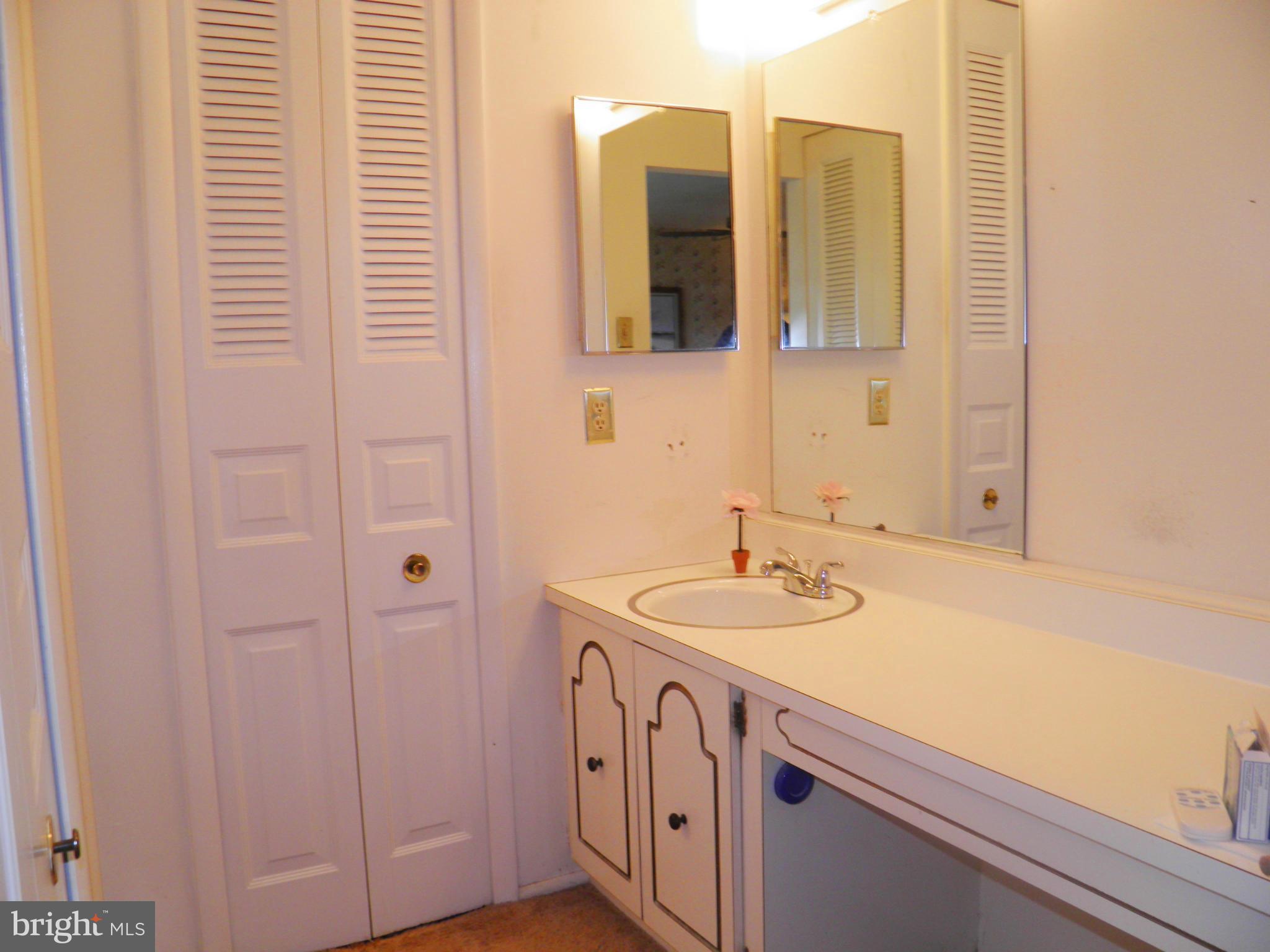 123 North Cottage Road Sterling, VA 20164 - Photo 19 of 27 Bath (Master)