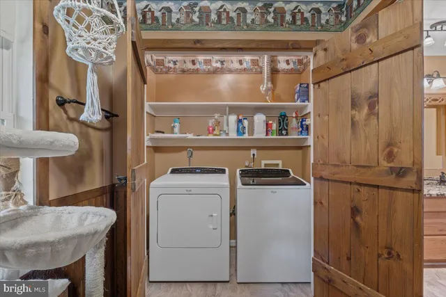 a view of a trees in a park