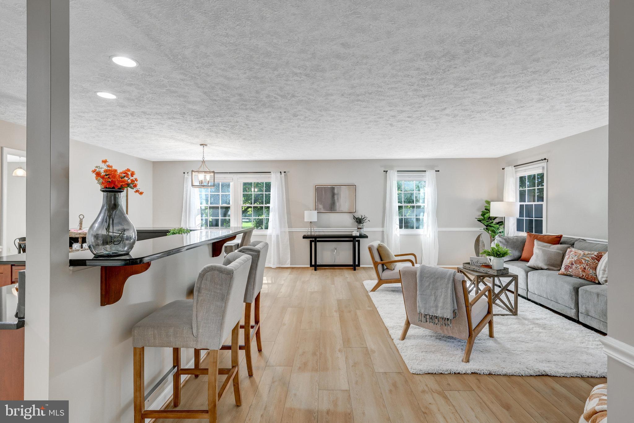 13154 Morning Spring Lane Fairfax, VA 22033 - Photo 4 of 38 Living Room