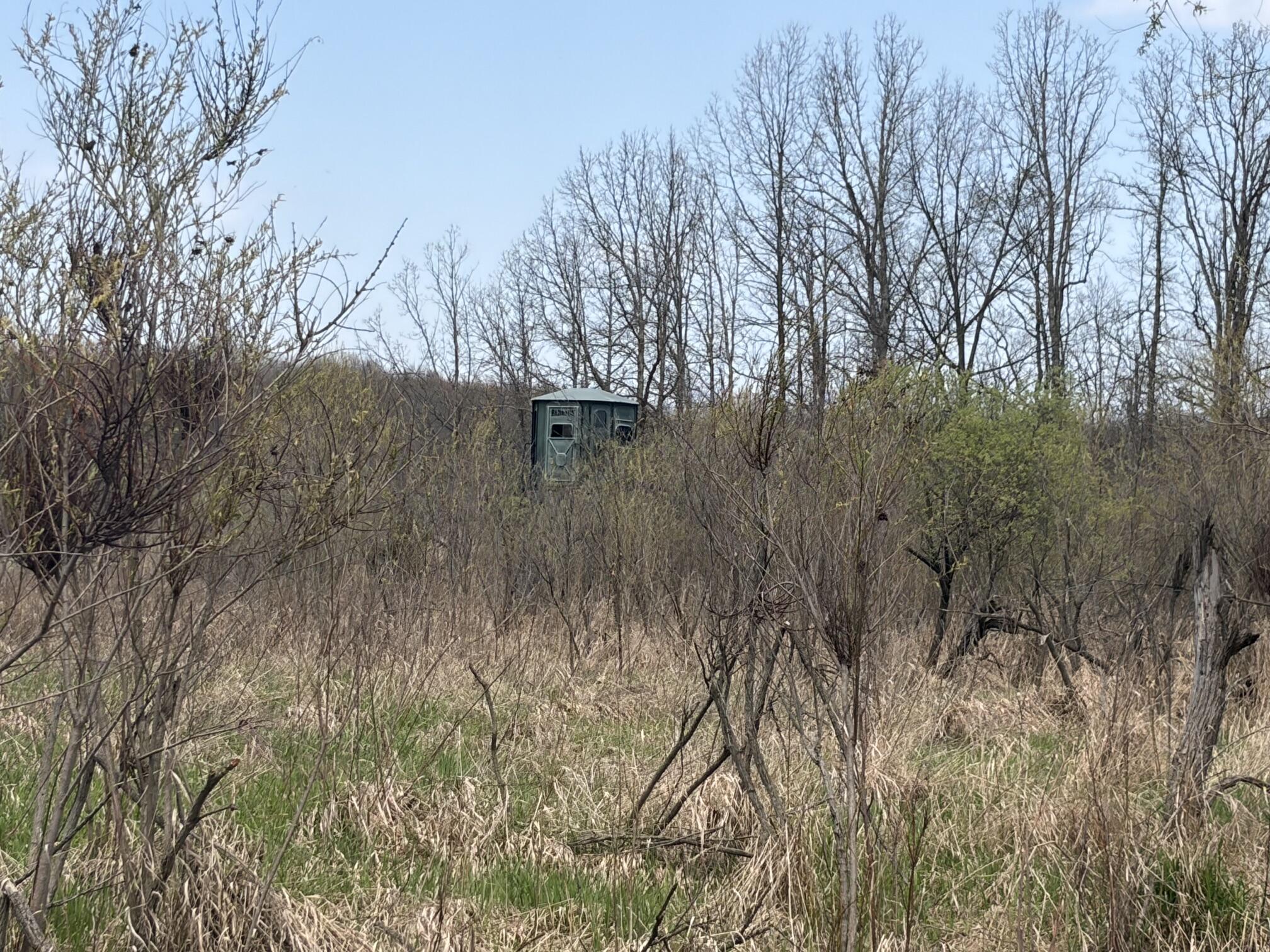 0 Wheeler Road Homer, MI 49245 - Photo 17 of 38 IMG_7879