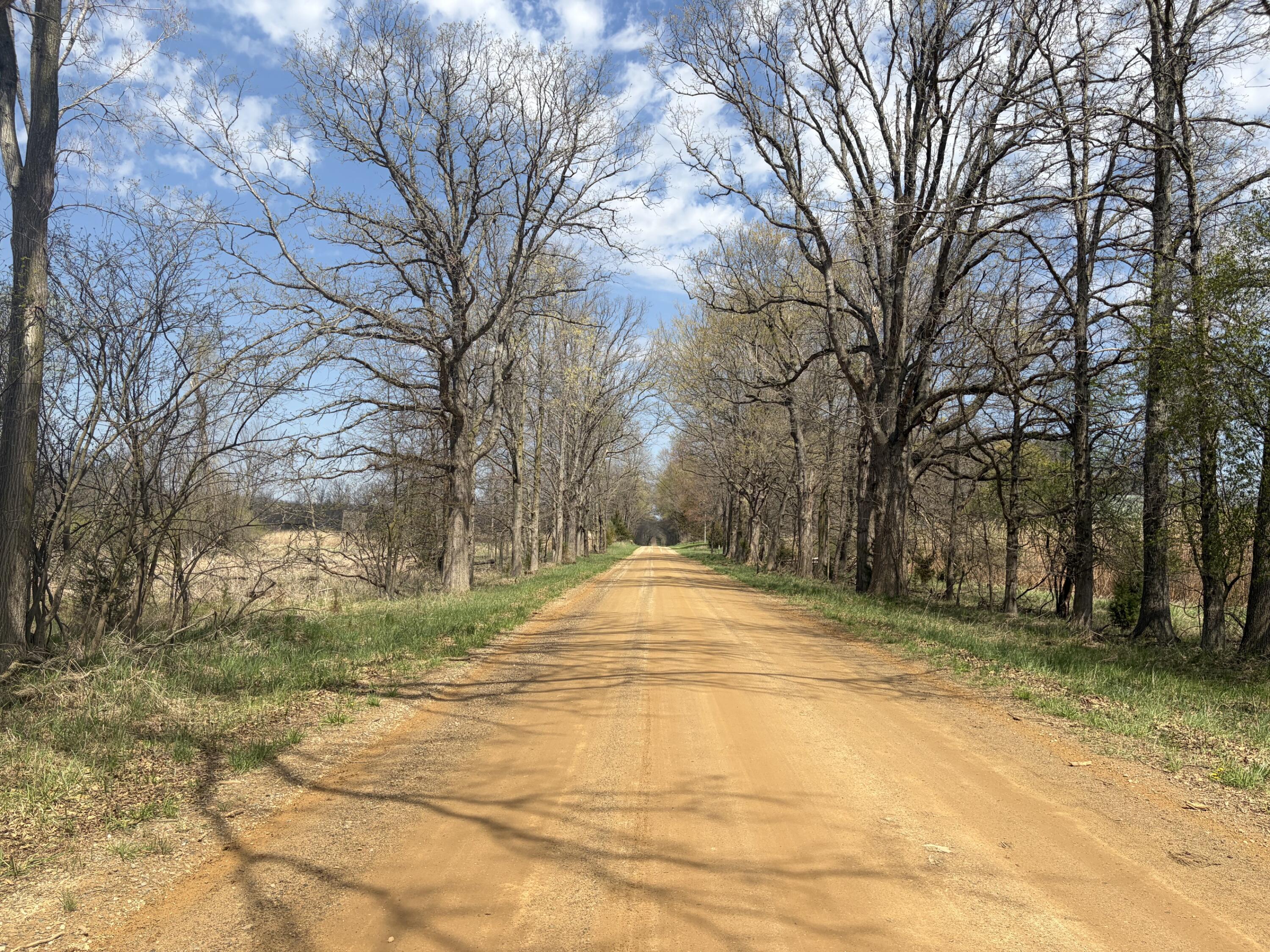 0 Wheeler Road Homer, MI 49245 - Photo 21 of 38 IMG_7897