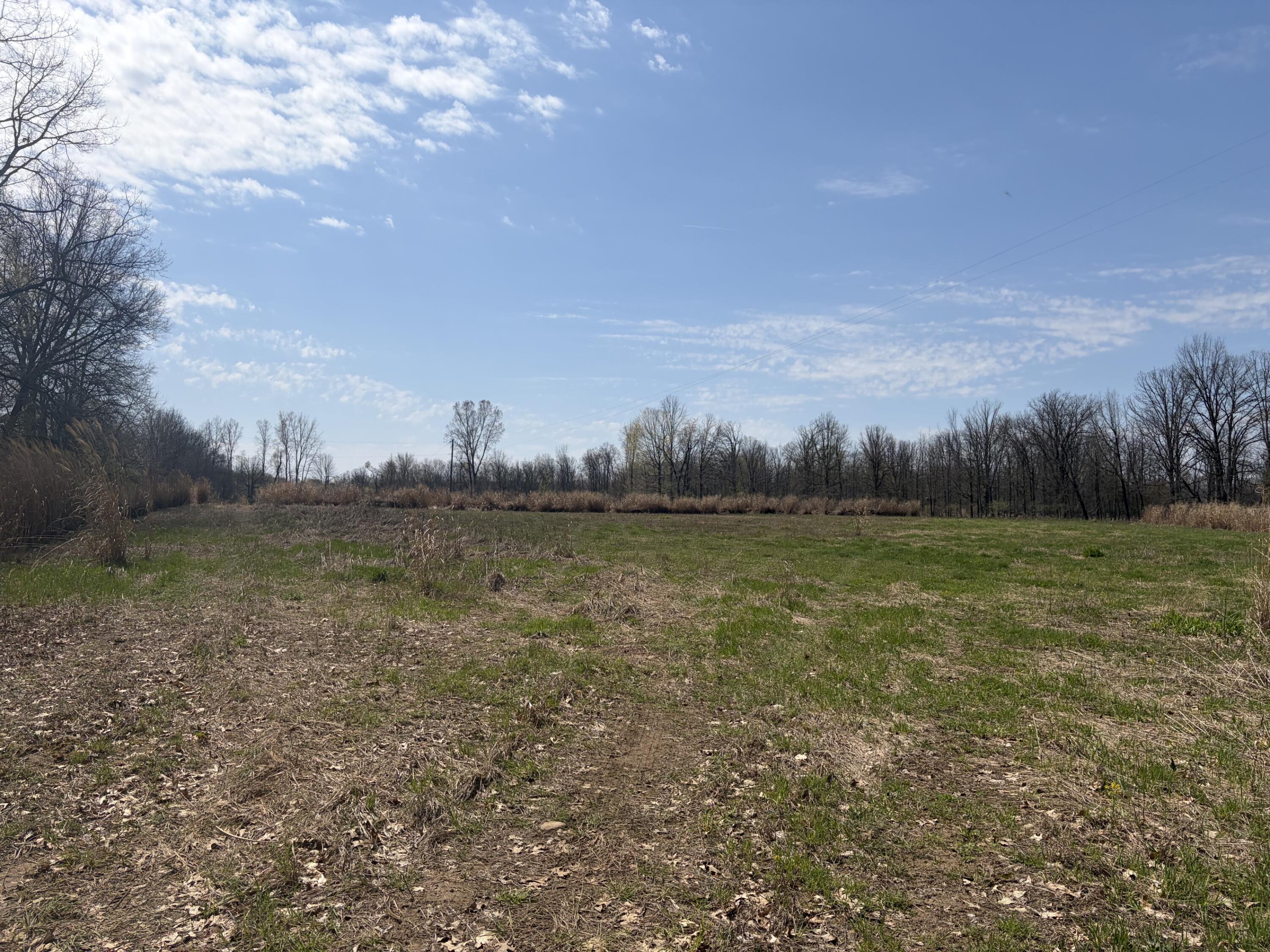 0 Wheeler Road Homer, MI 49245 - Photo 26 of 38 IMG_7857