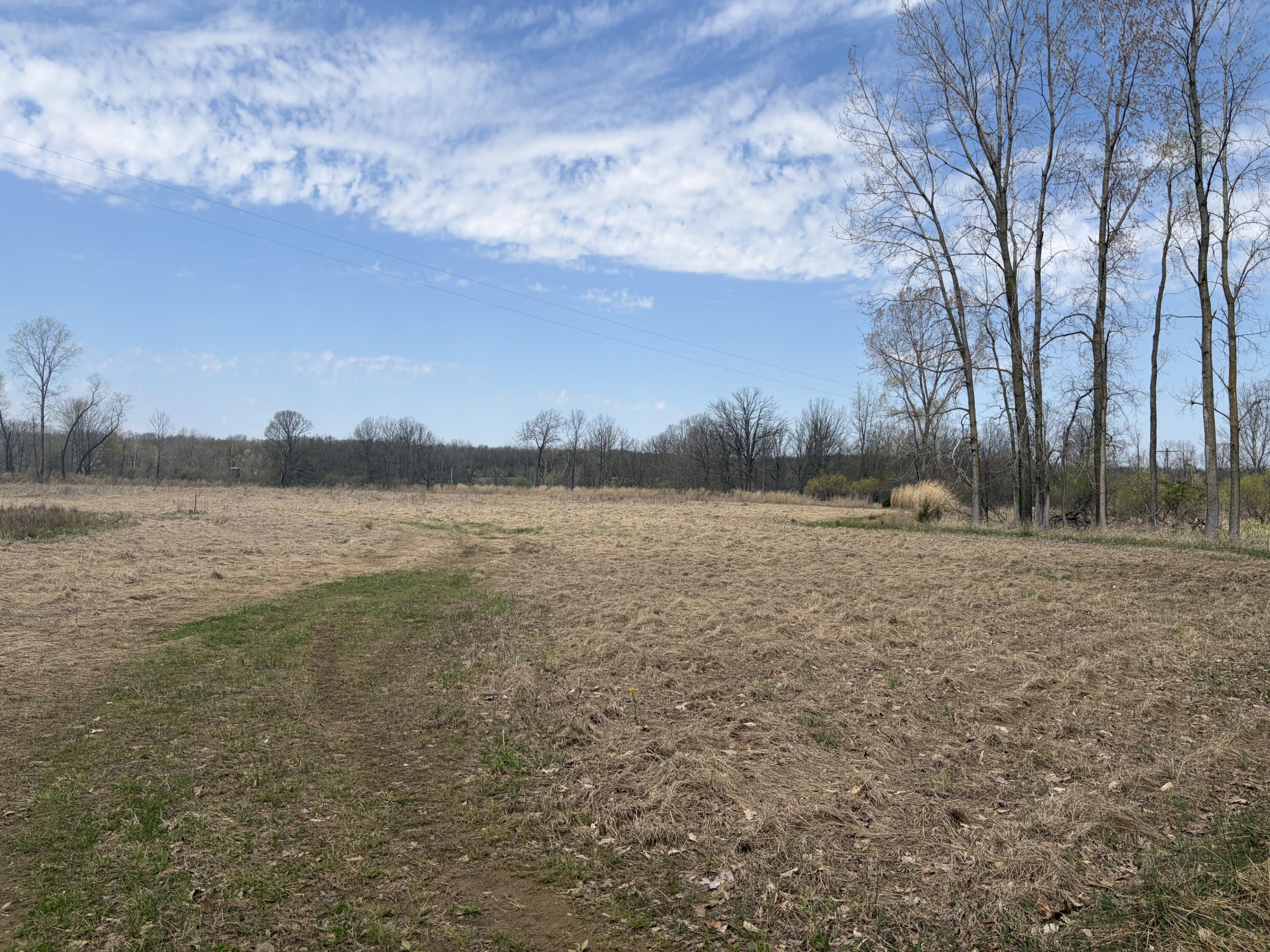 0 Wheeler Road Homer, MI 49245 - Photo 28 of 38 IMG_7871
