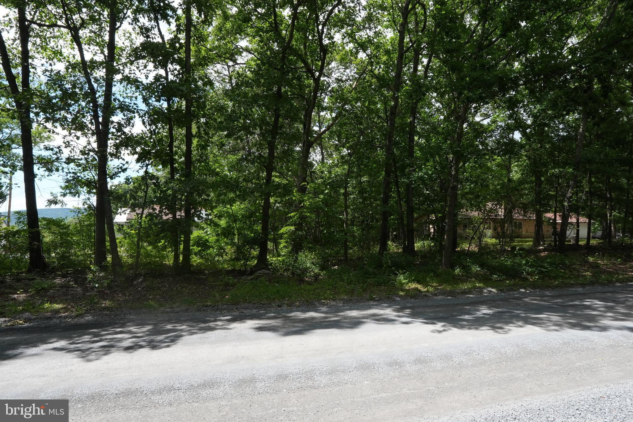 1917 South Timber Ridge Road Cross Junction, VA 22625 - Photo 2 of 19