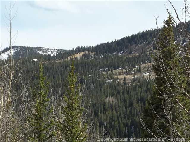 1530 Roberts Road Alma, CO 80420 - Photo 18 of 24 Gallery Image 18