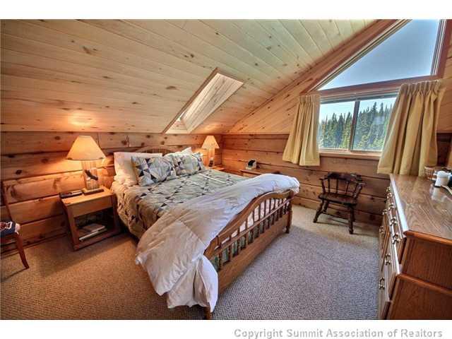1530 Roberts Road Alma, CO 80420 - Photo 9 of 24 Gallery Image 9