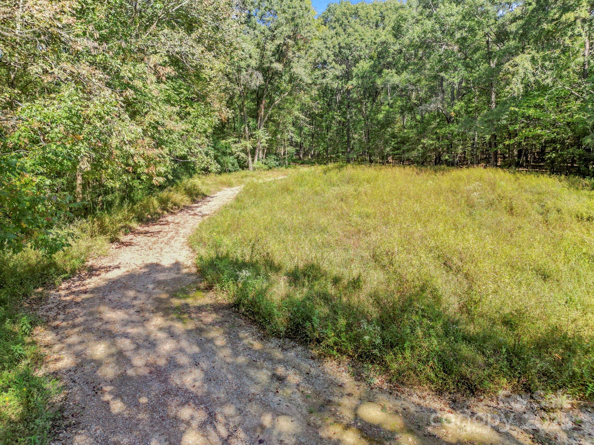 5908 Will Plyler Road Waxhaw, NC 28173 - Photo 12 of 12 a view of a yard with a tree