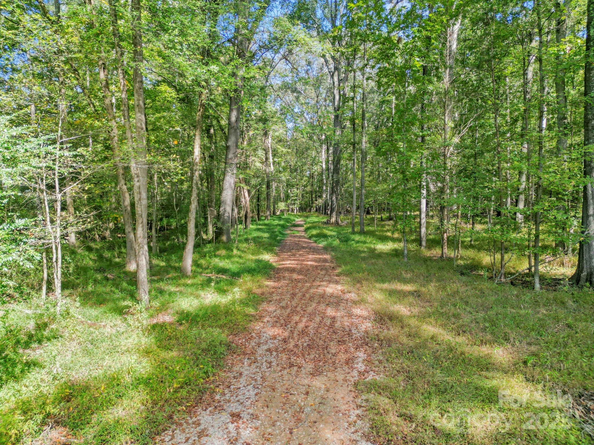 5908 Will Plyler Road Waxhaw, NC 28173 - Photo 2 of 12 a view of a green field with lots of trees