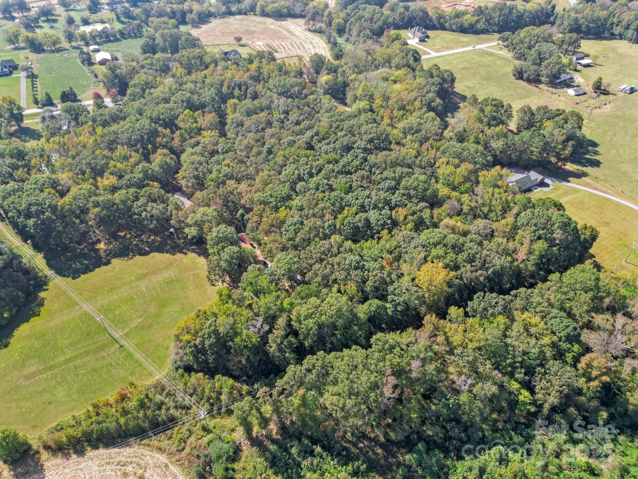 5908 Will Plyler Road Waxhaw, NC 28173 - Photo 7 of 12 a view of a lake with a yard