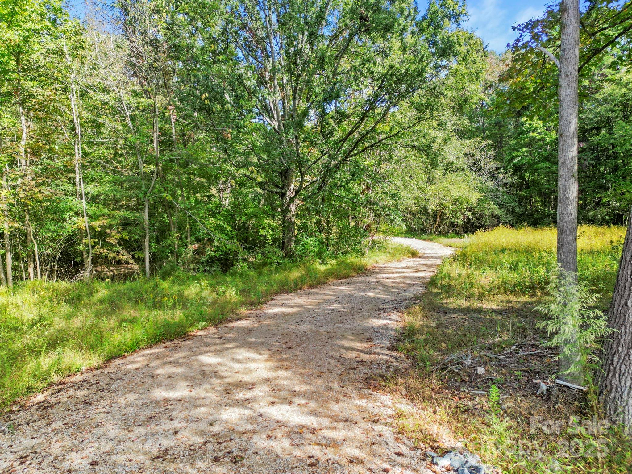 5908 Will Plyler Road Waxhaw, NC 28173 - Photo 10 of 12 a view of a yard with plants and large trees