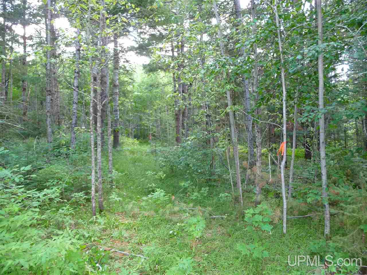 Tbd Tbd Road Republic, MI 49879 - Photo 5 of 21