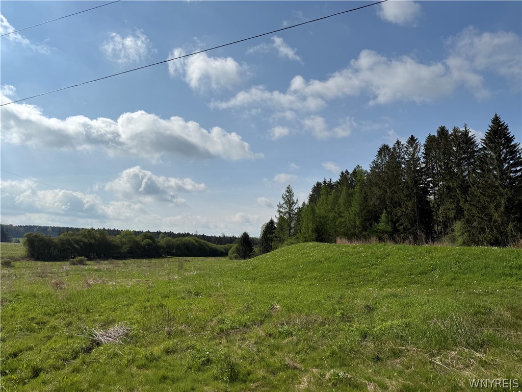 4083 Closser Road Allen, NY 14709 - Photo 33 of 36
