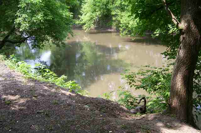 Tbd Riverside Lane Gratiot, WI 53541 - Photo 1 of 9 a view of a lake view