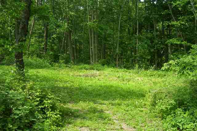 Tbd Riverside Lane Gratiot, WI 53541 - Photo 3 of 9 a view of outdoor space and green space