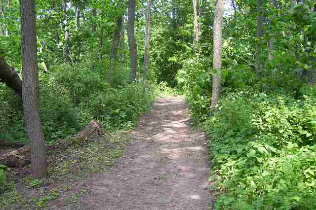 Tbd Riverside Lane Gratiot, WI 53541 - Photo 6 of 9 a view of a pathway both side of yard