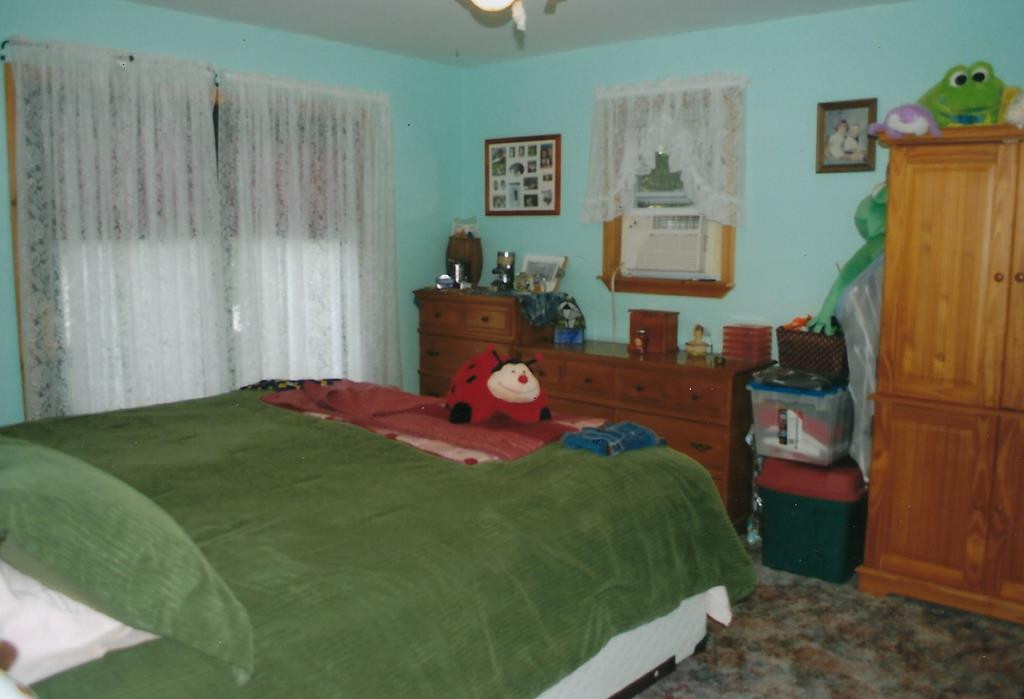 154 Lake Road Chateaugay, NY 12920 - Photo 5 of 12