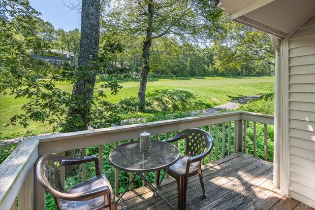 a view of balcony with a potted plant