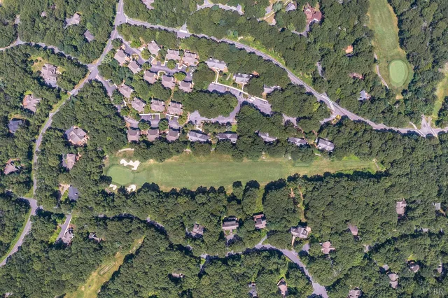 a view of a lush green hillside and a mountain