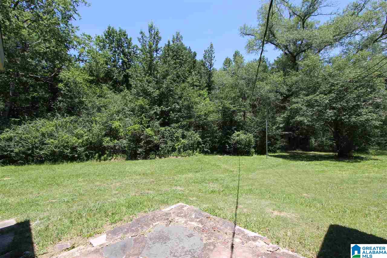 4363 Old Sulphur Springs Road Wellington, AL 36279 - Photo 33 of 37