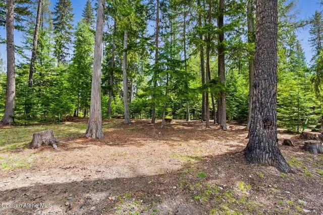 $235,000 | Lot 27 Bruin Road, Nordman, ID 83848