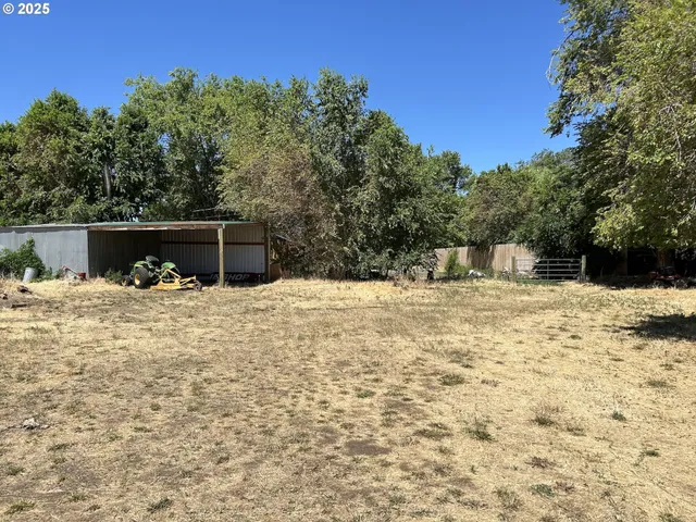 a backyard of a house with large trees and plants
