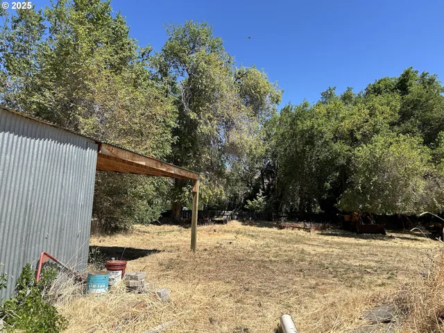 a view of backyard with tree