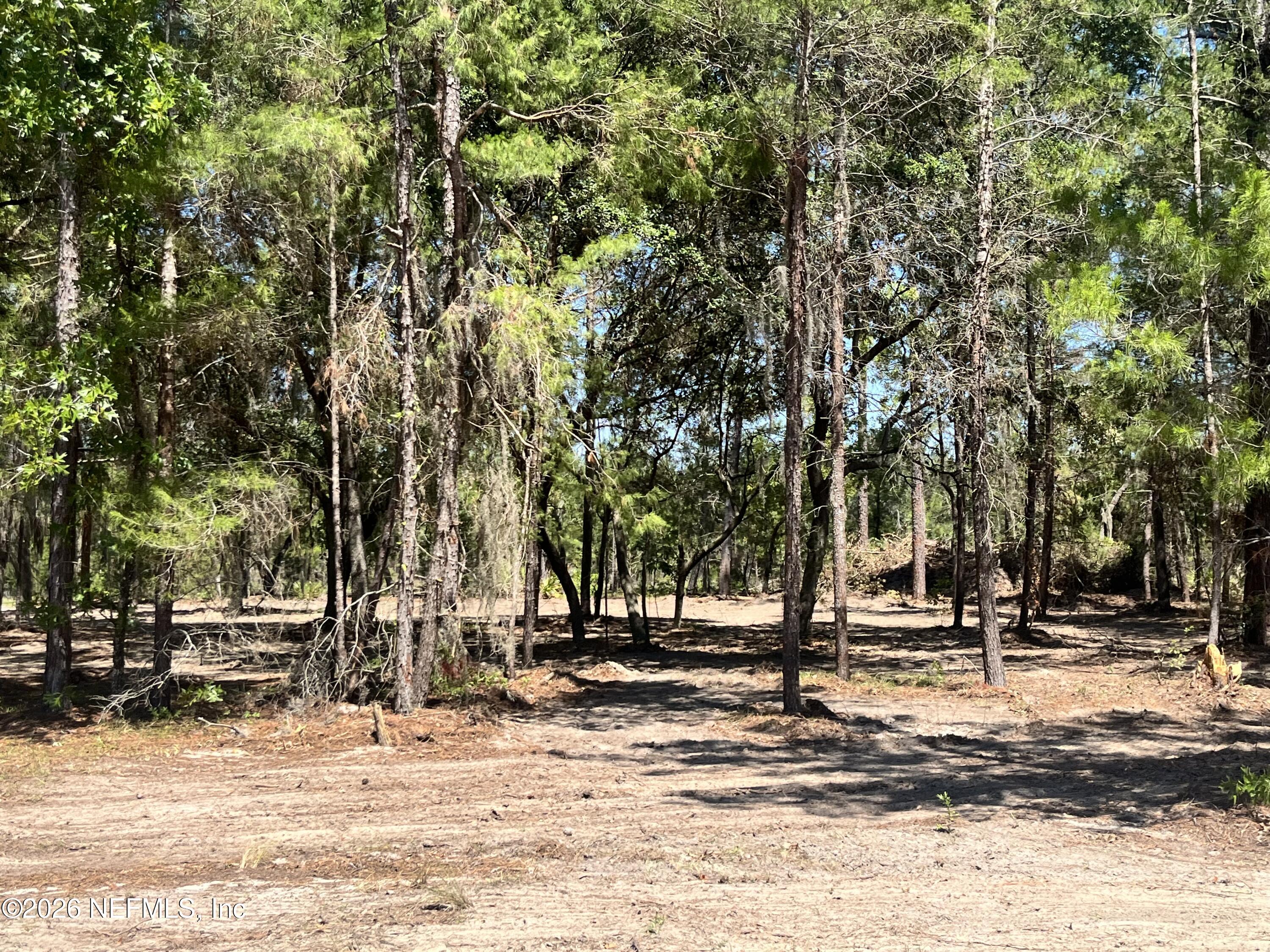 219 Magnolia Road Hawthorne, FL 32640 - Photo 5 of 9 IMG_0551