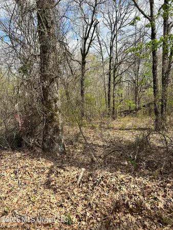 $150,000 | Lot 8 Matthews Drive, Byhalia, MS 38611
