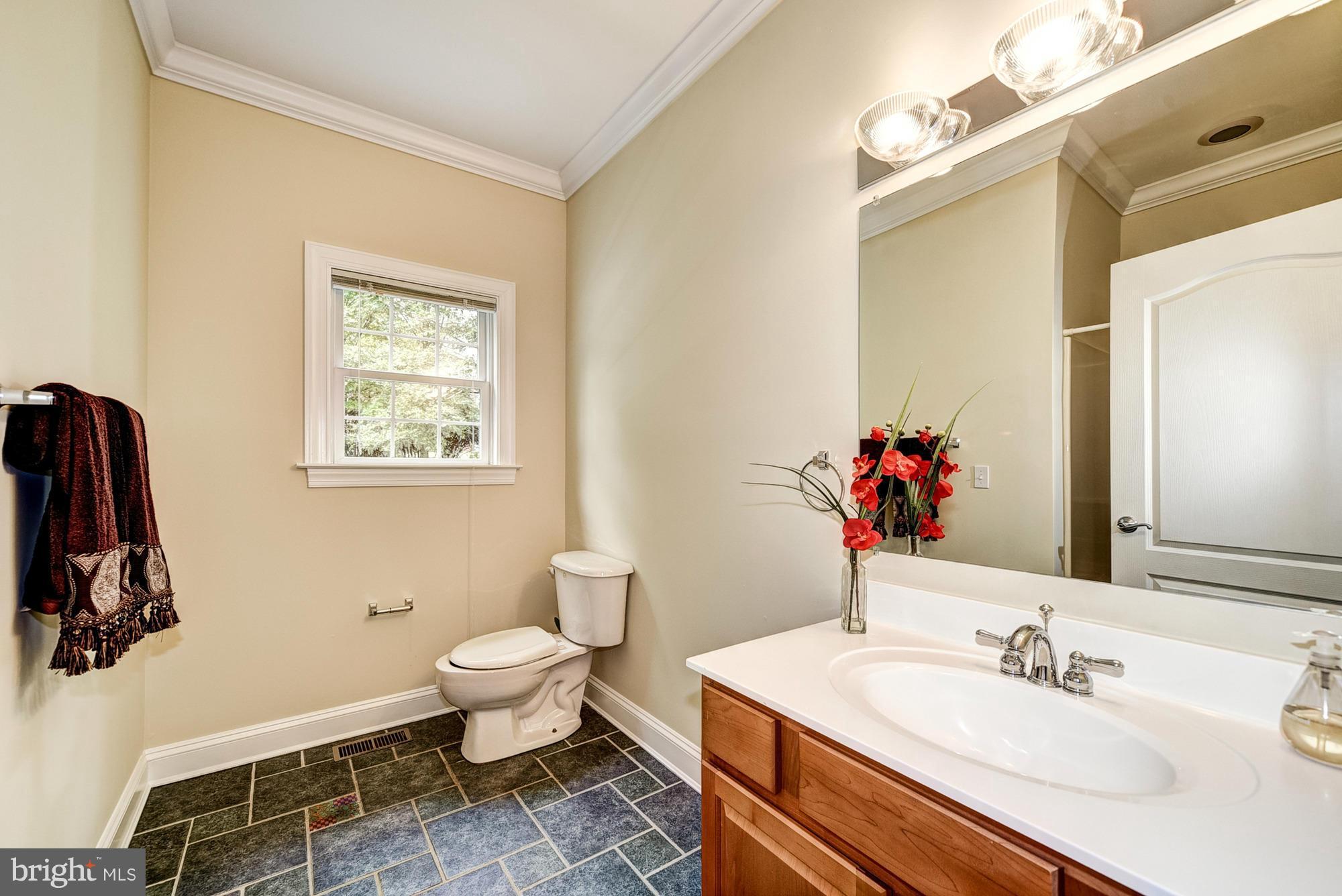 19135 Mateny Hill Road Germantown, MD 20874 - Photo 7 of 30 Main Level Full Bath