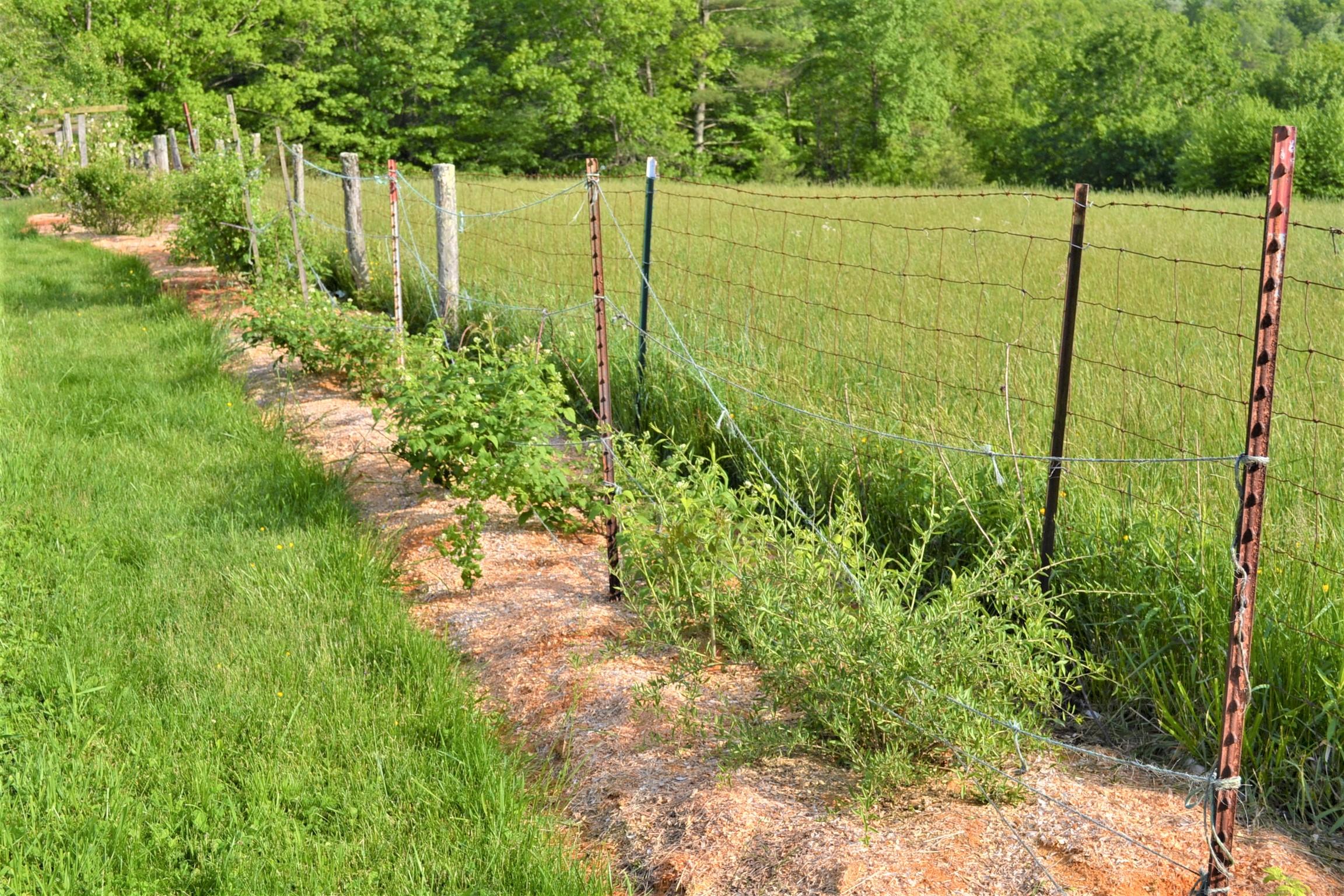 1640 Julia Road Renick, WV 24966 - Photo 15 of 77 Gallery Image 15