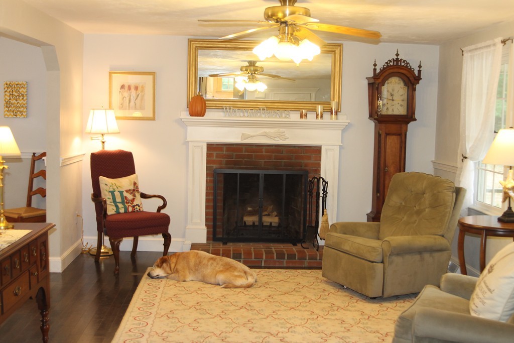 Gallery Image 7