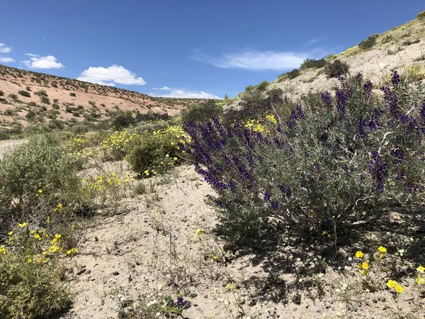 $1,850,000 | 0 Pumice Mill Road, Bishop, CA 93514