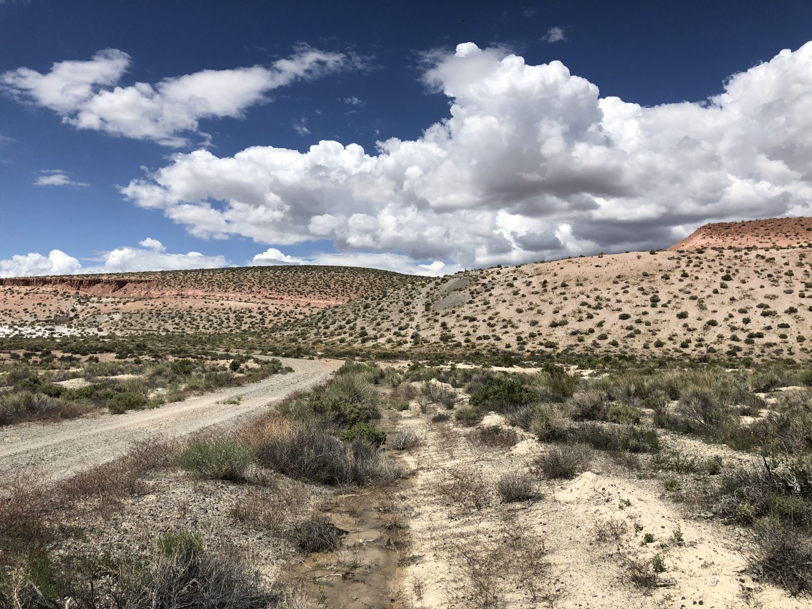 0 Pumice Mill Road Bishop, CA 93514 - Photo 13 of 35 Untitled