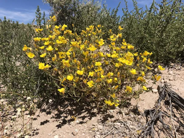 $1,850,000 | 0 Pumice Mill Road, Bishop, CA 93514