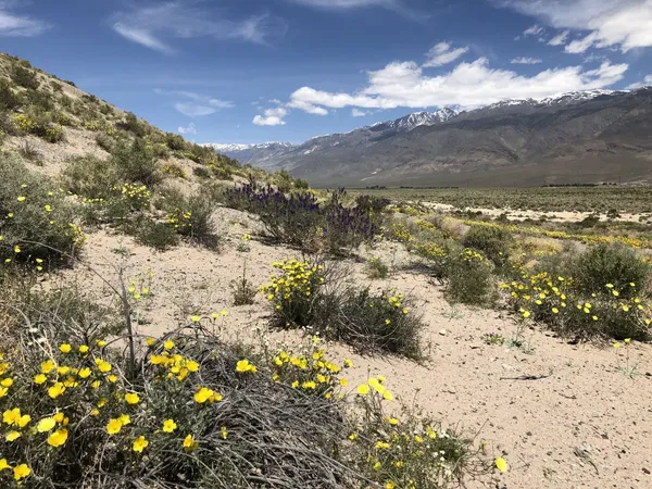 $1,850,000 | 0 Pumice Mill Road, Bishop, CA 93514