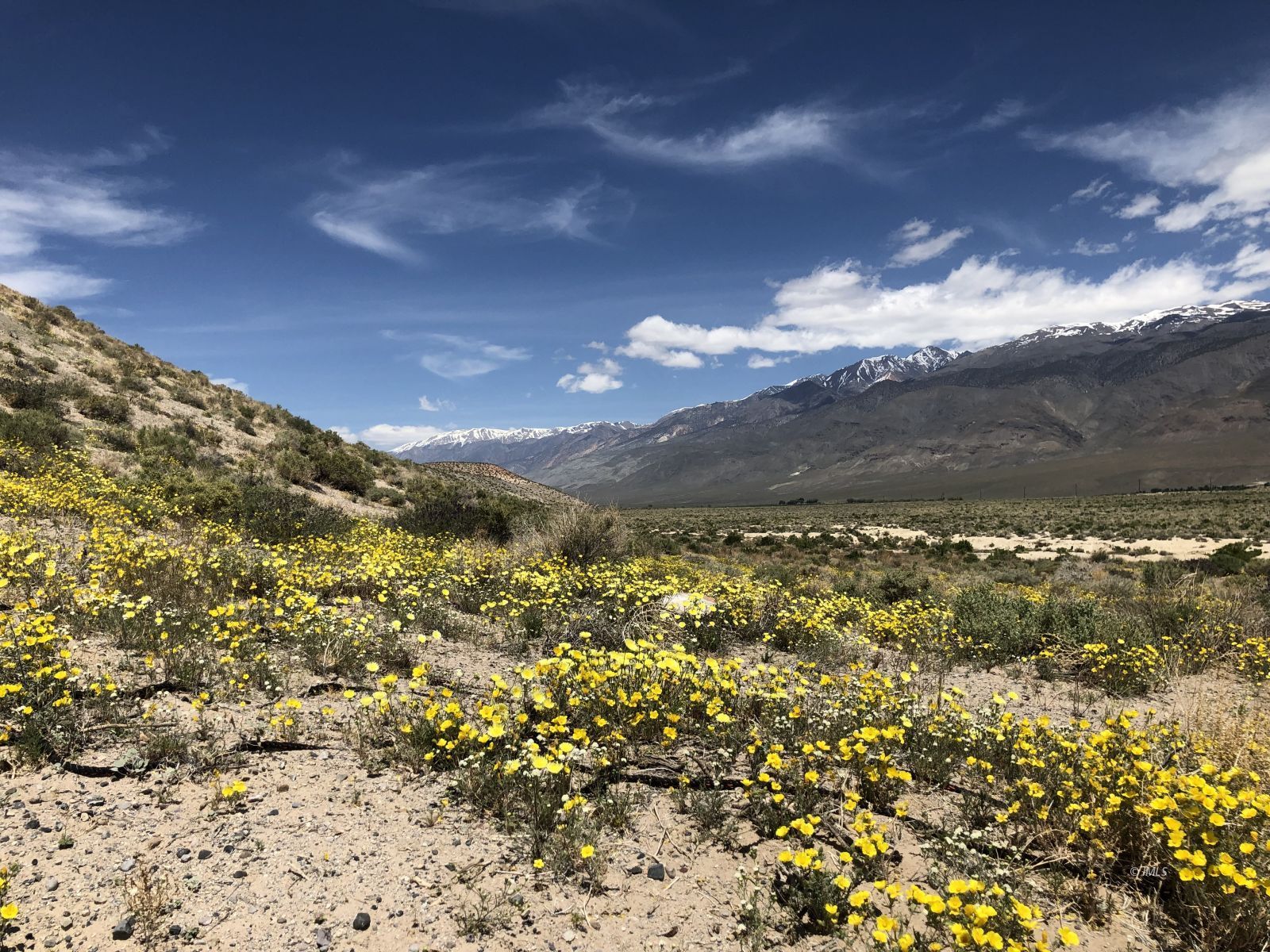 0 Pumice Mill Road Bishop, CA 93514 - Photo 3 of 35 Untitled