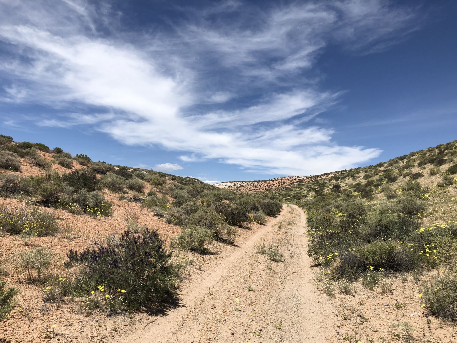 0 Pumice Mill Road Bishop, CA 93514 - Photo 4 of 35 Untitled