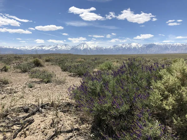 $1,850,000 | 0 Pumice Mill Road, Bishop, CA 93514