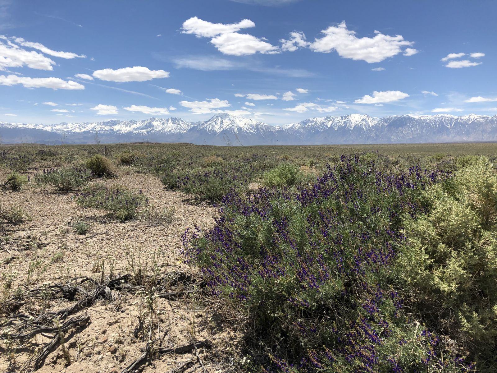 0 Pumice Mill Road Bishop, CA 93514 - Photo 5 of 35 Untitled