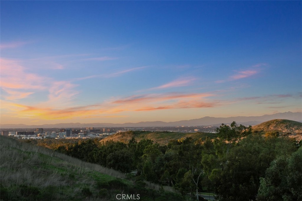 22 Delphinus Irvine, CA 92603 - Photo 18 of 42 a view of a city with lush green forest