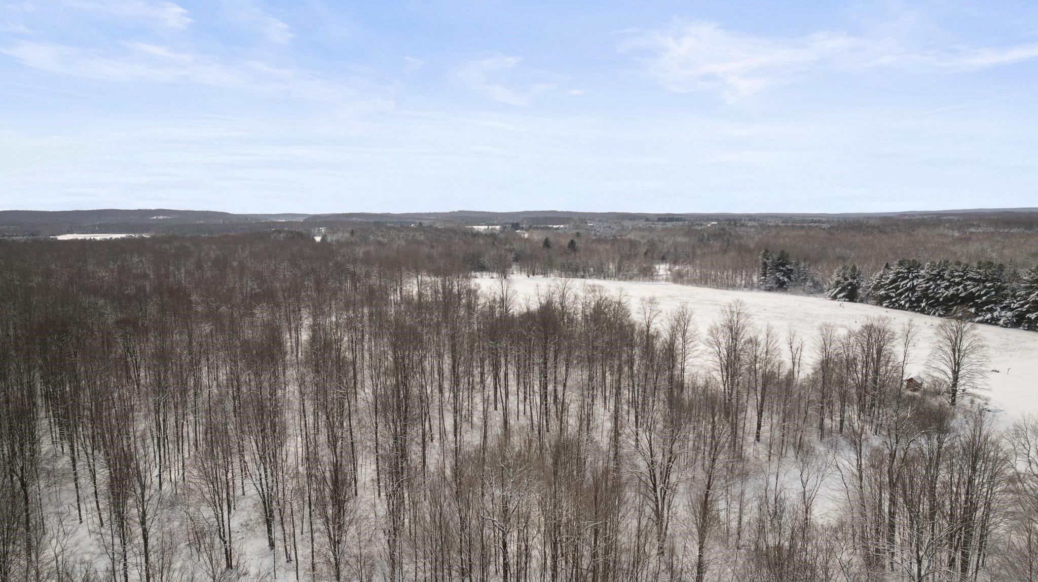 0 East 14th Road Manton, MI 49663 - Photo 26 of 38