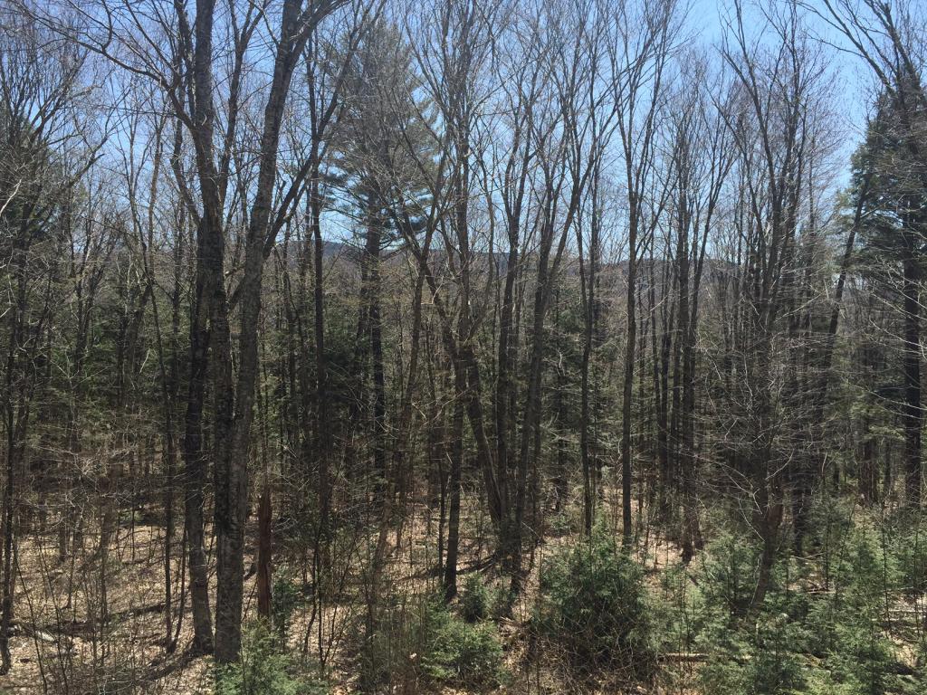 14 Trillium Road Thornton, NH 03285 - Photo 34 of 36