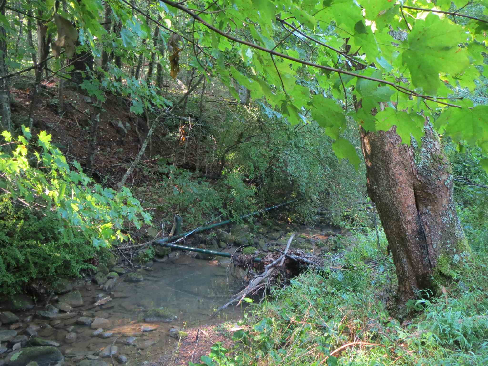 2600 Middle Cove Run Road Mathias, WV 26812 - Photo 20 of 38 a backyard of a house with lots of green space