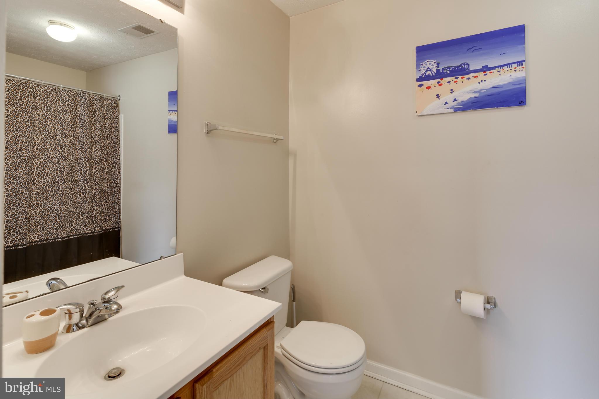 9602 Haven Farm Road, Unit E Perry Hall, MD 21128 - Photo 22 of 30 Bath (Master)