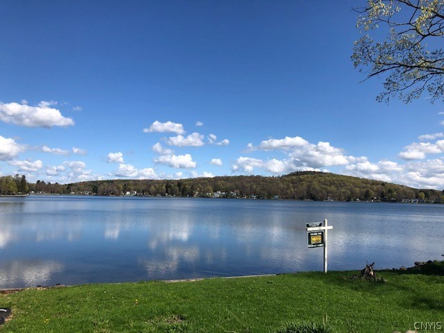 833 McCarthy Road Nelson, NY 13061 - Photo 1 of 1 Soooo serene, and believe it or not, taken BEFORE