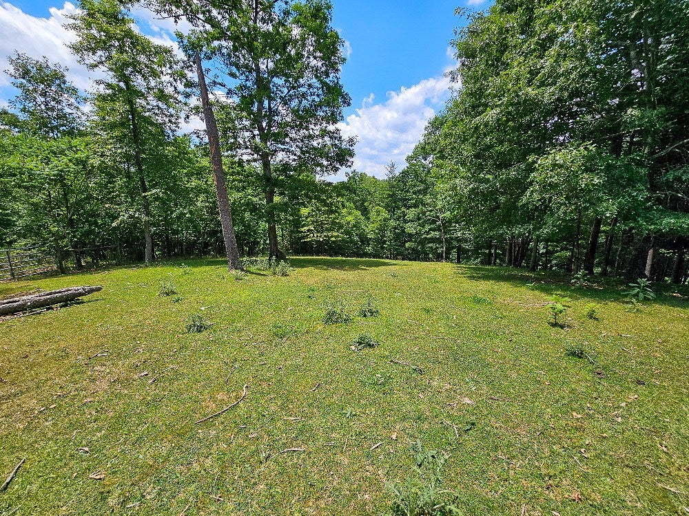 Tbd Stevens Creek Road Fries, VA 24330 - Photo 3 of 13 Gallery Image 3