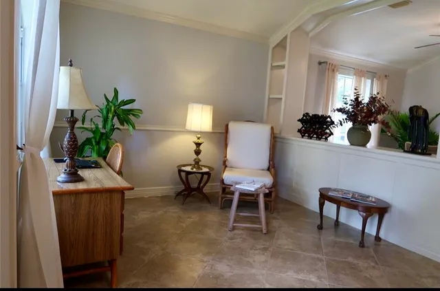 a living room with furniture potted plant and a window
